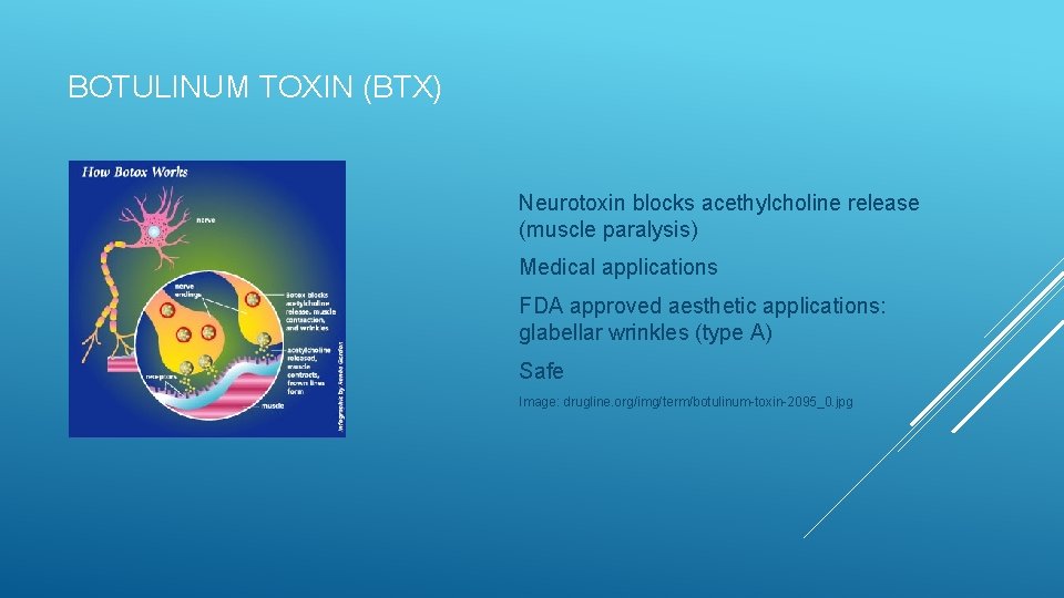 BOTULINUM TOXIN (BTX) Neurotoxin blocks acethylcholine release (muscle paralysis) Medical applications FDA approved aesthetic