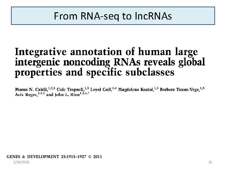 From RNA-seq to lnc. RNAs 2/24/2021 21 