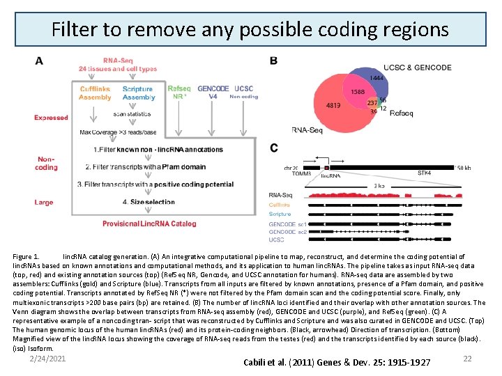 Filter to remove any possible coding regions Figure 1. linc. RNA catalog generation. (A)