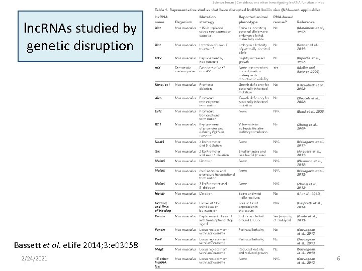 lnc. RNAs studied by genetic disruption Bassett et al. e. Life 2014; 3: e