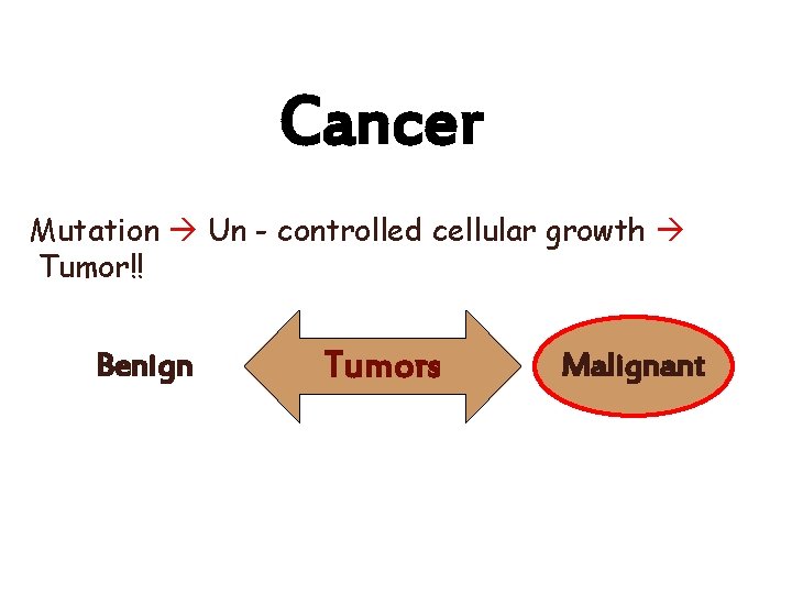 Cancer Mutation Un - controlled cellular growth Tumor!! Benign Tumors Malignant 