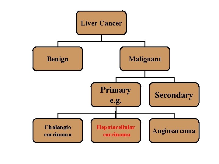 Liver Cancer Benign Cholangio carcinoma Malignant Primary e. g. Secondary Hepatocellular carcinoma Angiosarcoma 