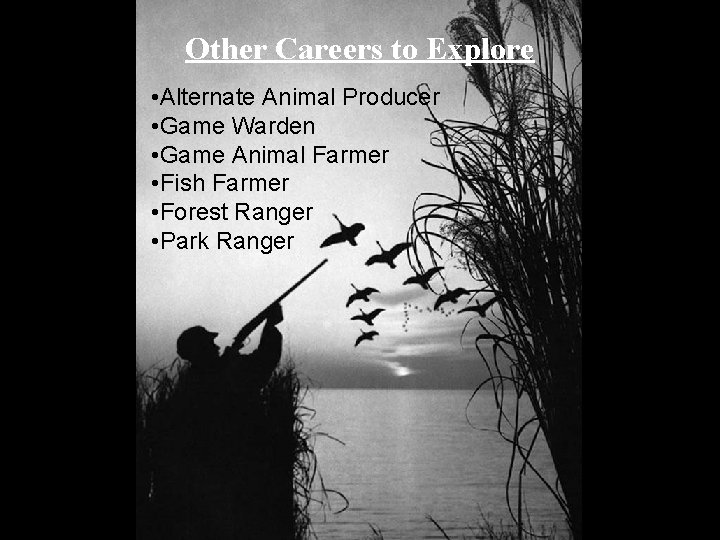 Other Careers to Explore • Alternate Animal Producer • Game Warden • Game Animal