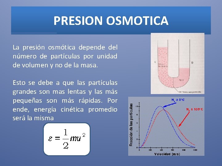 PRESION OSMOTICA La presión osmótica depende del número de partículas por unidad de volumen