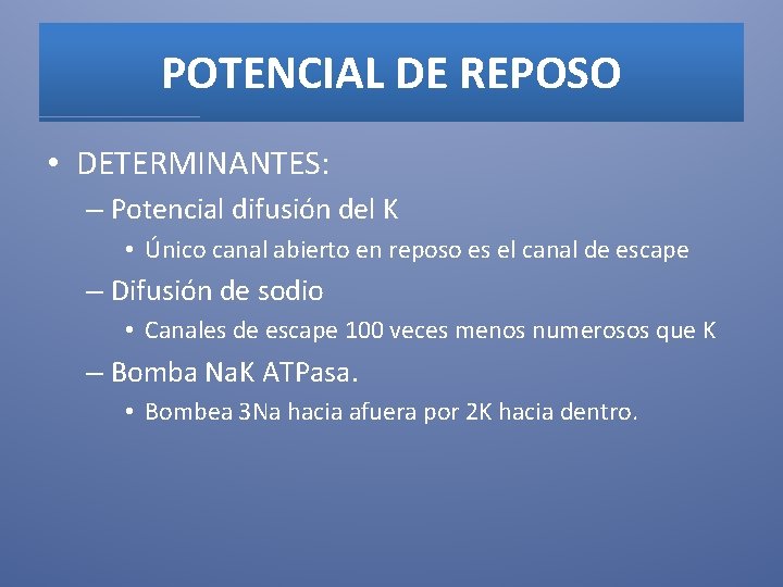 POTENCIAL DE REPOSO • DETERMINANTES: – Potencial difusión del K • Único canal abierto