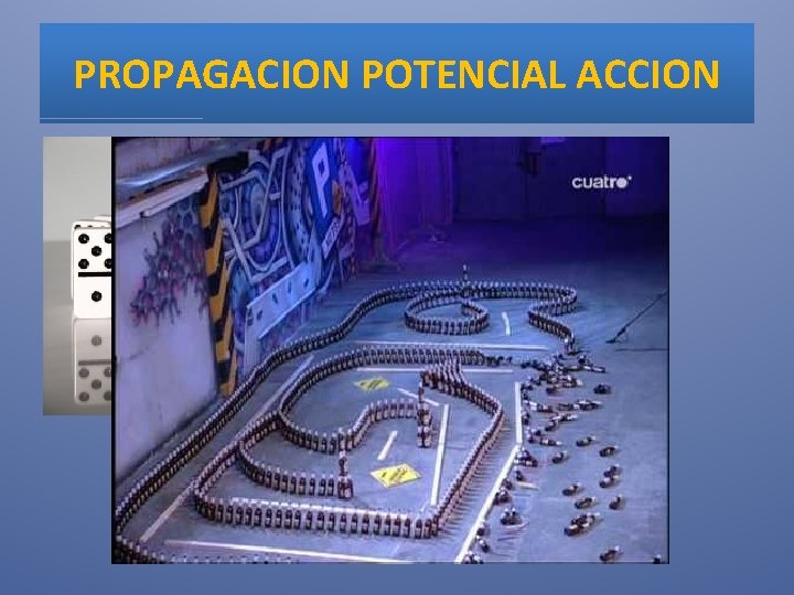 PROPAGACION POTENCIAL ACCION 