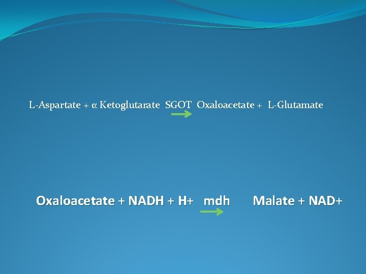 L-Aspartate + α Ketoglutarate SGOT Oxaloacetate + L-Glutamate Oxaloacetate + NADH + H+ mdh L-Aspartate + α Ketoglutarate SGOT Oxaloacetate + L-Glutamate Oxaloacetate + NADH + H+ mdh
