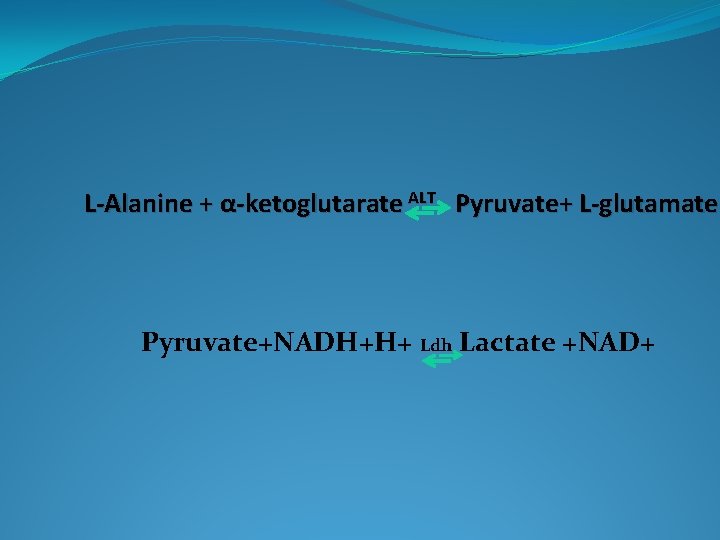 L-Alanine + α-ketoglutarate ALT Pyruvate+ L-glutamate Pyruvate+NADH+H+ Ldh Lactate +NAD+ L-Alanine + α-ketoglutarate ALT Pyruvate+ L-glutamate Pyruvate+NADH+H+ Ldh Lactate +NAD+