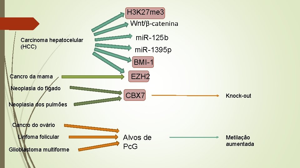 H 3 K 27 me 3 Wnt/β-catenina Carcinoma hepatocelular (HCC) mi. R-125 b mi.