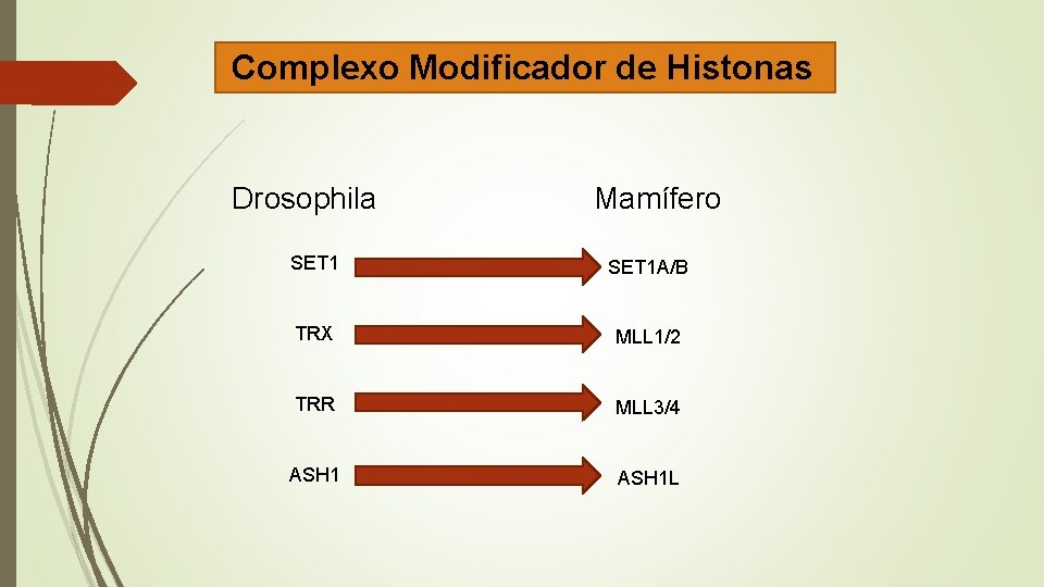 Complexo Modificador de Histonas Drosophila Mamífero SET 1 A/B TRX MLL 1/2 TRR MLL