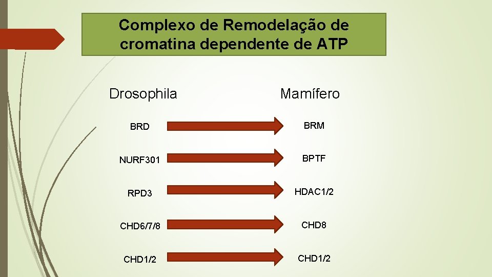 Complexo de Remodelação de cromatina dependente de ATP Drosophila Mamífero BRD BRM NURF 301