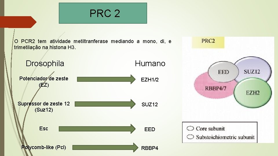 PRC 2 O PCR 2 tem atividade metiltranferase mediando a mono, di, e trimetilação