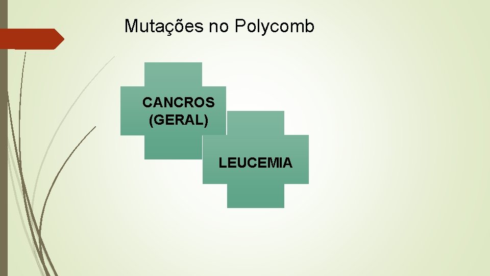 Mutações no Polycomb CANCROS (GERAL) LEUCEMIA 