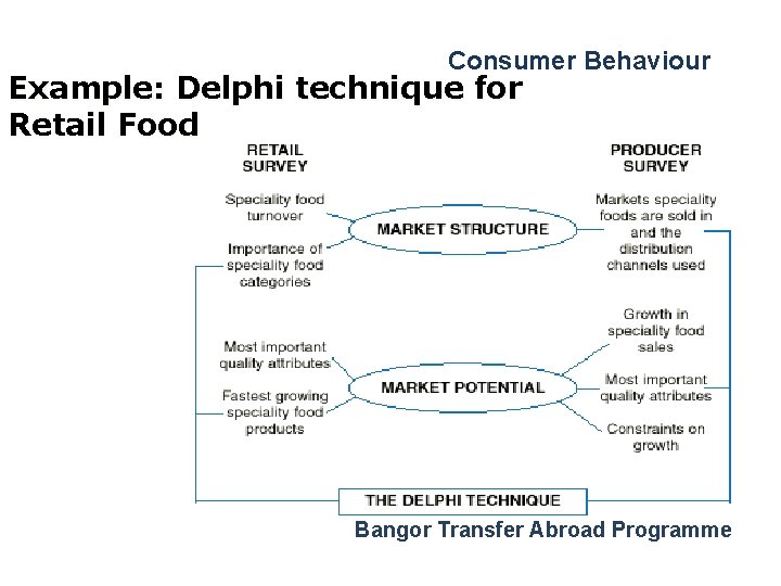 Consumer Behaviour Example: Delphi technique for Retail Food Bangor Transfer Abroad Programme 