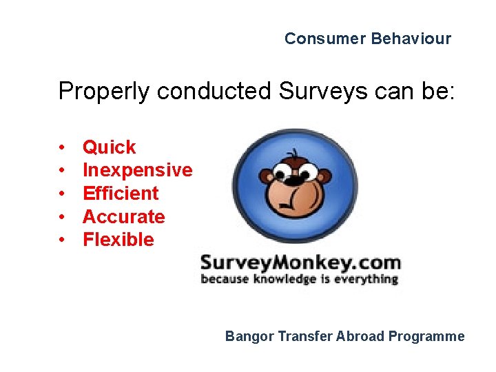 Consumer Behaviour Properly conducted Surveys can be: • • • Quick Inexpensive Efficient Accurate