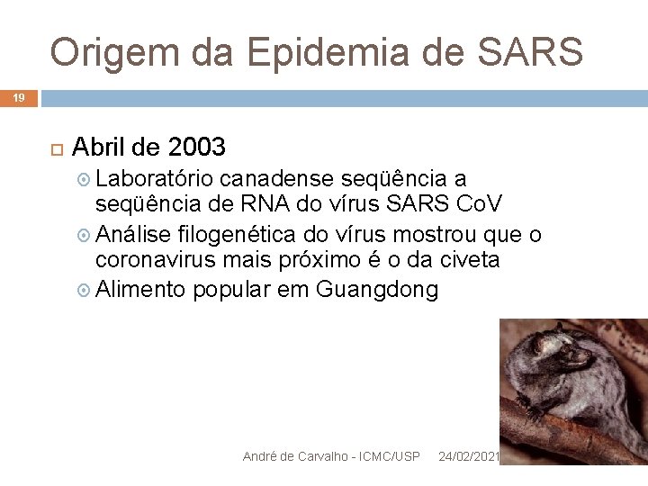 Origem da Epidemia de SARS 19 Abril de 2003 Laboratório canadense seqüência a seqüência