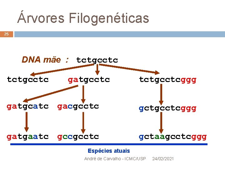 Árvores Filogenéticas 25 DNA mãe : tctgcctc gatgcctc tctgcctcggg gatgcatc gacgcctc gctgcctcggg gatgaatc gccgcctc