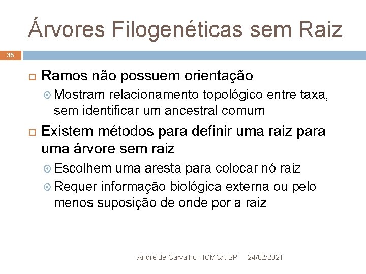 Árvores Filogenéticas sem Raiz 35 Ramos não possuem orientação Mostram relacionamento topológico entre taxa,