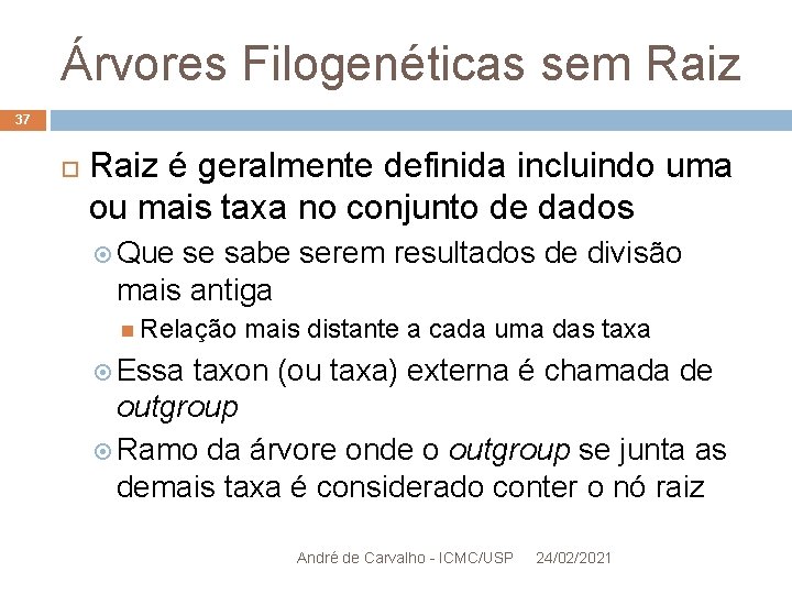 Árvores Filogenéticas sem Raiz 37 Raiz é geralmente definida incluindo uma ou mais taxa