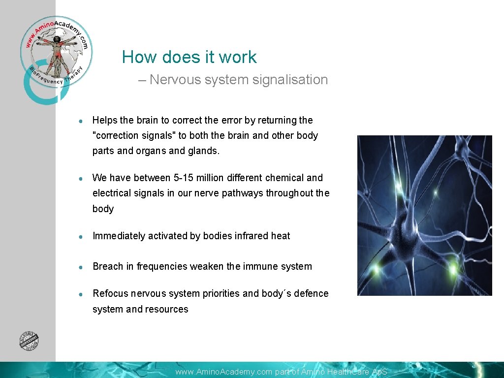 How does it work – Nervous system signalisation ● Helps the brain to correct