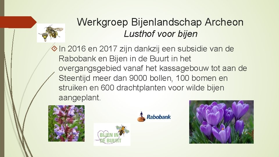 Werkgroep Bijenlandschap Archeon Lusthof voor bijen In 2016 en 2017 zijn dankzij een subsidie