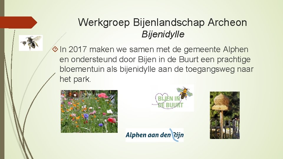 Werkgroep Bijenlandschap Archeon Bijenidylle In 2017 maken we samen met de gemeente Alphen en