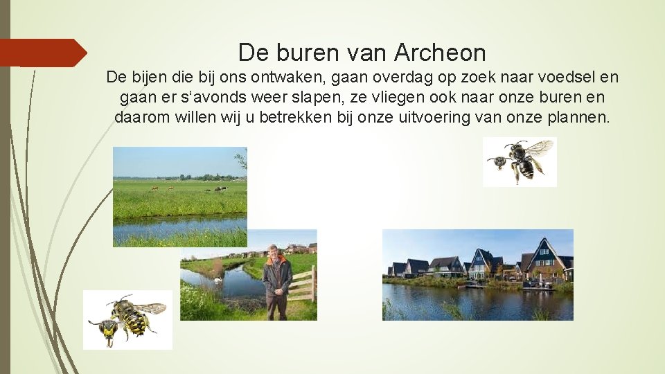 De buren van Archeon De bijen die bij ons ontwaken, gaan overdag op zoek