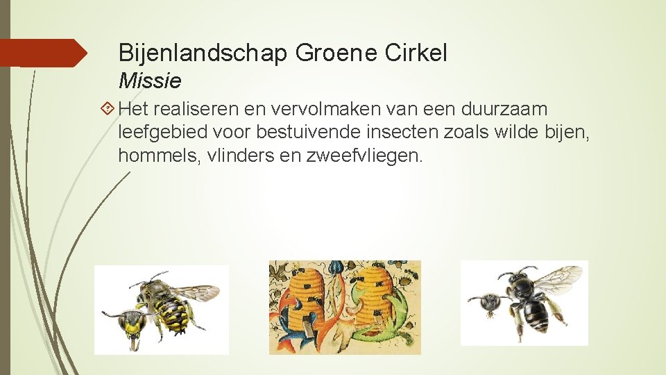 Bijenlandschap Groene Cirkel Missie Het realiseren en vervolmaken van een duurzaam leefgebied voor bestuivende