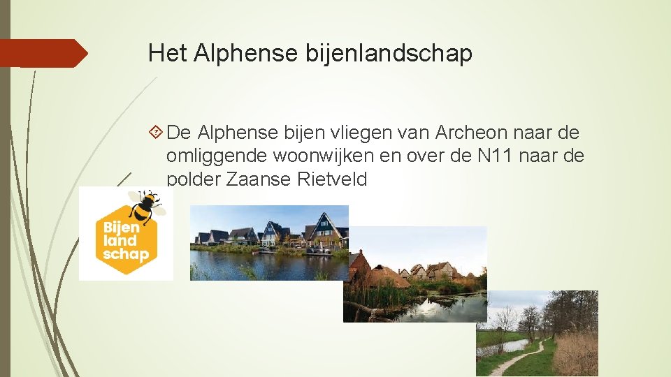 Het Alphense bijenlandschap De Alphense bijen vliegen van Archeon naar de omliggende woonwijken en