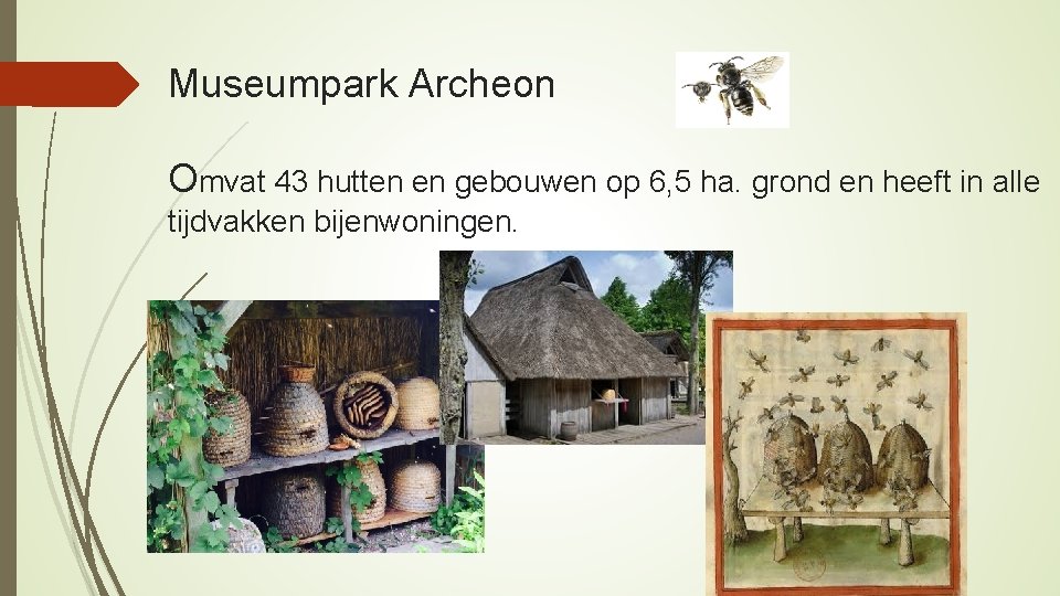 Museumpark Archeon Omvat 43 hutten en gebouwen op 6, 5 ha. grond en heeft