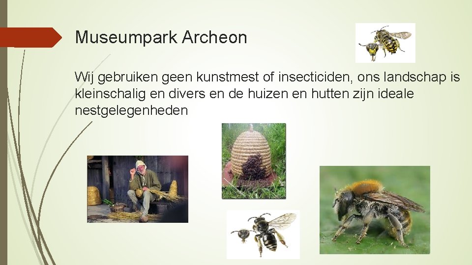 Museumpark Archeon Wij gebruiken geen kunstmest of insecticiden, ons landschap is kleinschalig en divers