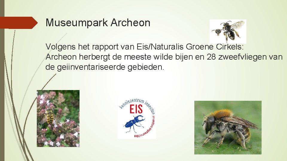 Museumpark Archeon Volgens het rapport van Eis/Naturalis Groene Cirkels: Archeon herbergt de meeste wilde