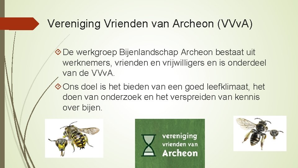 Vereniging Vrienden van Archeon (VVv. A) De werkgroep Bijenlandschap Archeon bestaat uit werknemers, vrienden