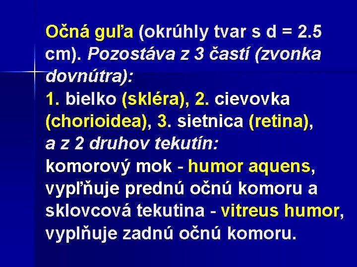 Očná guľa (okrúhly tvar s d = 2. 5 cm). Pozostáva z 3 častí