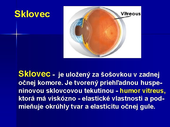 Sklovec Sklovec - je uložený za šošovkou v zadnej očnej komore. Je tvorený priehľadnou