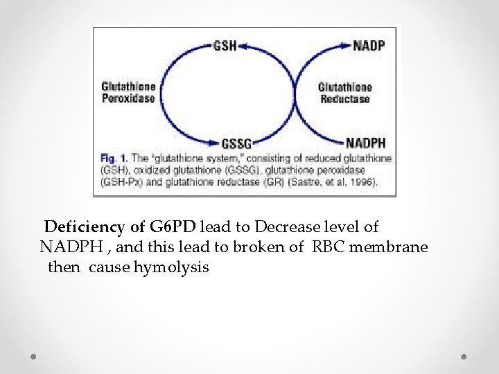 Deficiency of G 6 PD lead to Decrease level of NADPH , and this