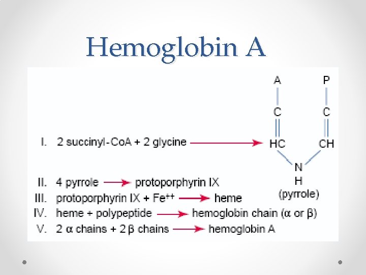 Hemoglobin A 