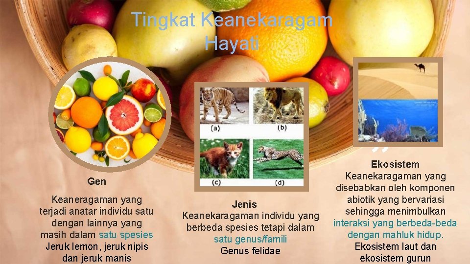 Tingkat Keanekaragam Hayati Gen Keaneragaman yang terjadi anatar individu satu dengan lainnya yang masih