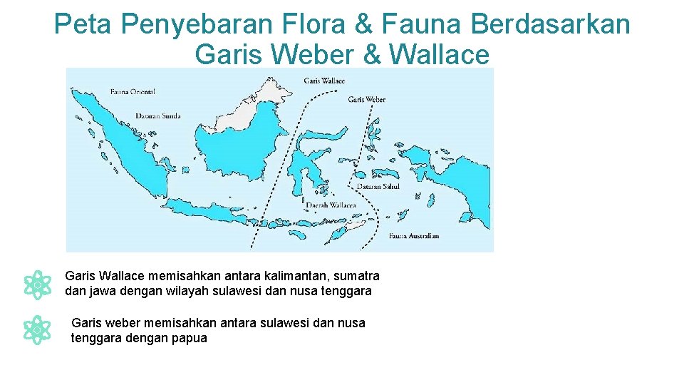 Peta Penyebaran Flora & Fauna Berdasarkan Garis Weber & Wallace Garis Wallace memisahkan antara