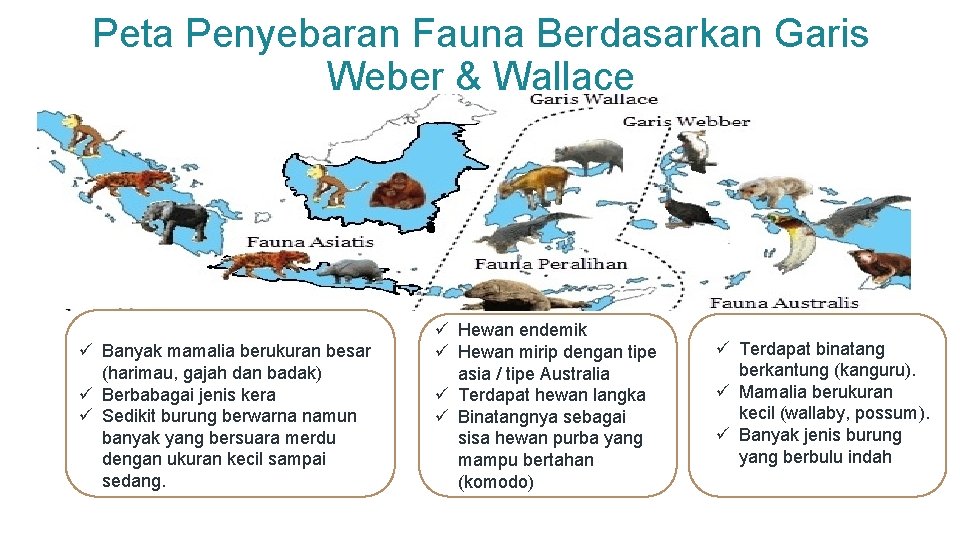 Peta Penyebaran Fauna Berdasarkan Garis Weber & Wallace ü Banyak mamalia berukuran besar (harimau,