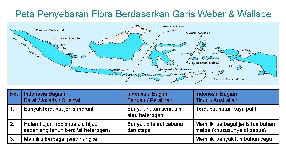Peta Penyebaran Flora Berdasarkan Garis Weber & Wallace No. Indonesia Bagian Barat / Asiatis