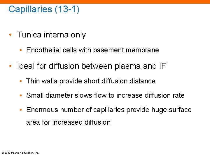 Capillaries (13 -1) • Tunica interna only • Endothelial cells with basement membrane •