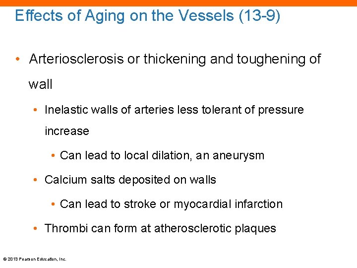 Effects of Aging on the Vessels (13 -9) • Arteriosclerosis or thickening and toughening