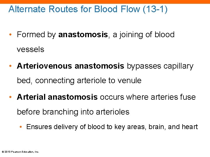 Alternate Routes for Blood Flow (13 -1) • Formed by anastomosis, a joining of