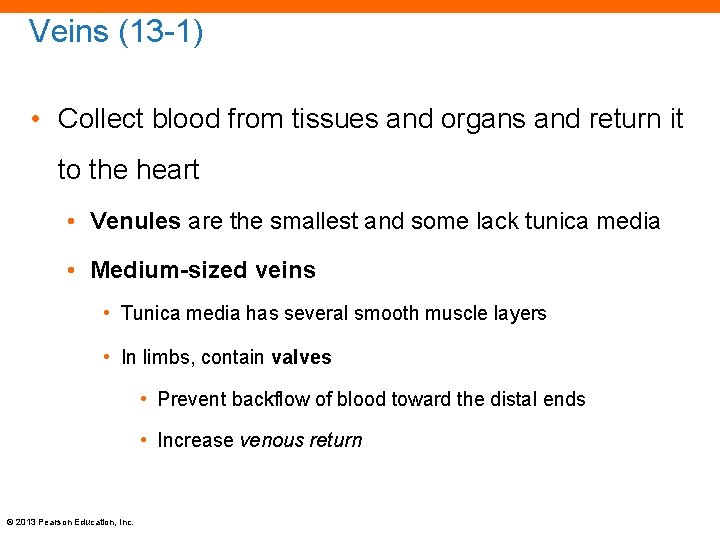 Veins (13 -1) • Collect blood from tissues and organs and return it to