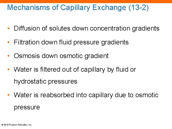 Mechanisms of Capillary Exchange (13 -2) • Diffusion of solutes down concentration gradients •