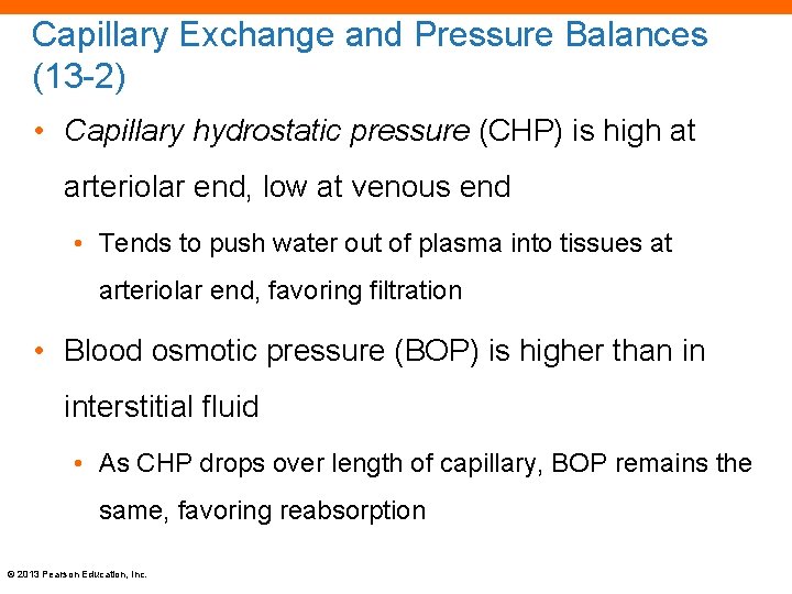 Capillary Exchange and Pressure Balances (13 -2) • Capillary hydrostatic pressure (CHP) is high