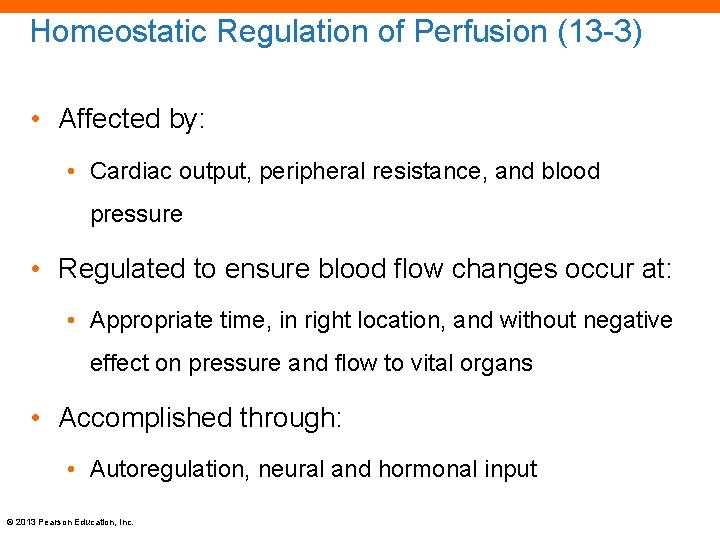 Homeostatic Regulation of Perfusion (13 -3) • Affected by: • Cardiac output, peripheral resistance,