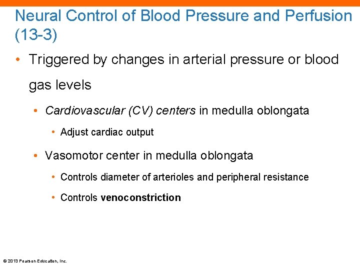 Neural Control of Blood Pressure and Perfusion (13 -3) • Triggered by changes in