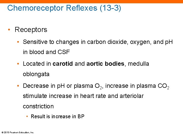 Chemoreceptor Reflexes (13 -3) • Receptors • Sensitive to changes in carbon dioxide, oxygen,